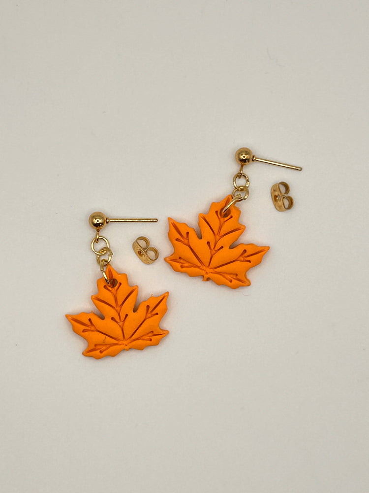 Fall Collection